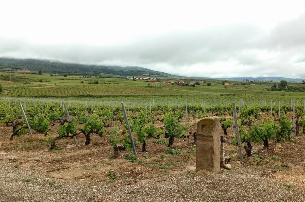 Viñedos de la finca Torre de Oña, de La Rioja Alta