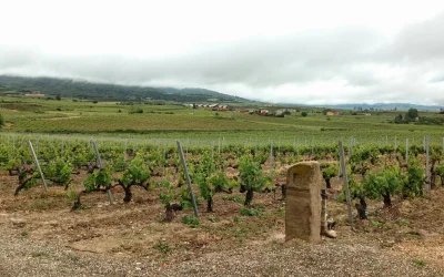 Despertando en Torre de Oña: tres días con La Rioja Alta