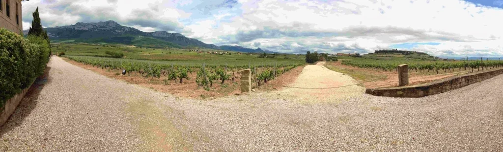 Paseo matutino entre los viñedos de Torre de Oña, en La Rioja