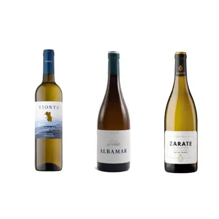 vinos gallegos para este verano