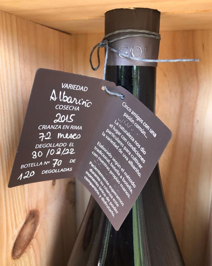 Gorgola 72 meses Magnum 2015