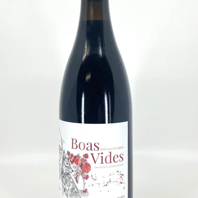 Sobranceiro Boas Vides