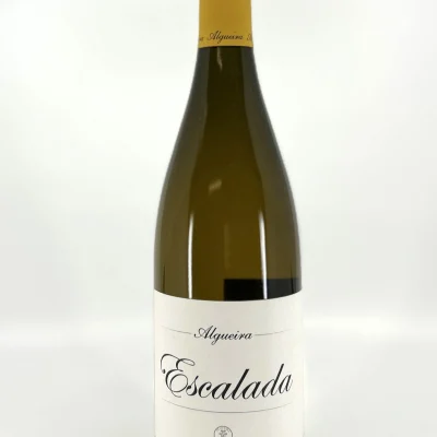 Algueira Escalada 2022