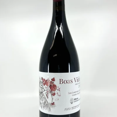 Boas Vides Tinto Magnum