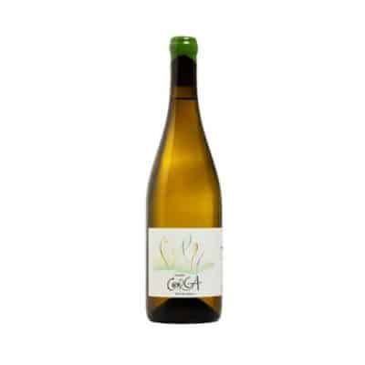 corga godello para juncal