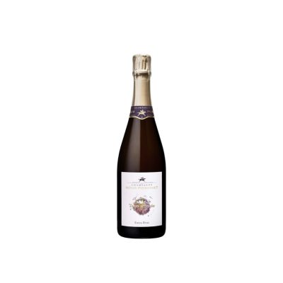 Champagne Regis Poissinet Terre D'Irizee Extra Bru