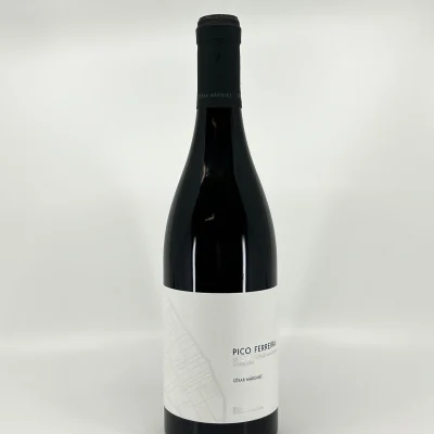 Cesar Márquez Pico Ferreira