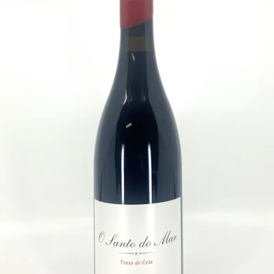 RodrigoMendez O Santo Do Mar