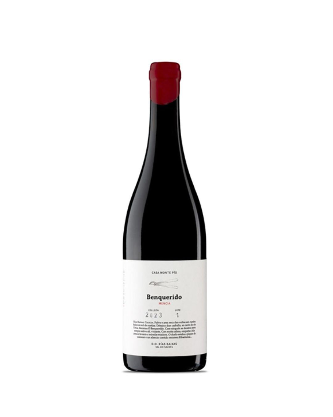 benquerido mencia