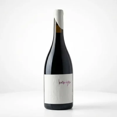 47 psqr hormigon de manchon mieres_web