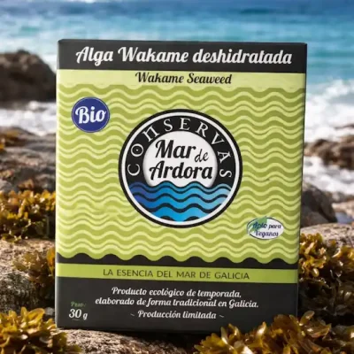 Alga Wakame en la costa gallega