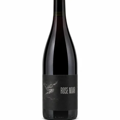 Arnaud Lopez Rose Noar 2024