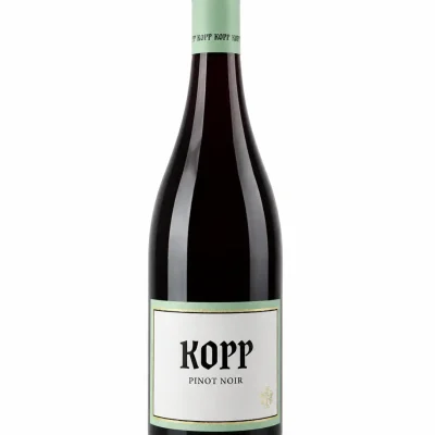 Kopp Pinot Noir Trocken 2023