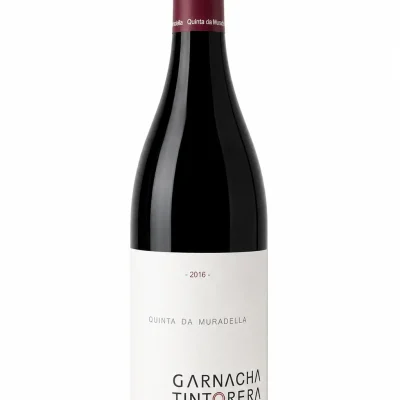 garnacha tintorera
